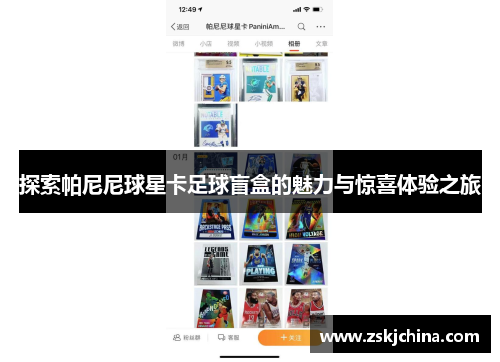 探索帕尼尼球星卡足球盲盒的魅力与惊喜体验之旅
